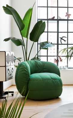 Reef fotel - myhome